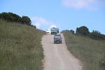 IMG 3411
