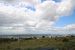 IMG 3416