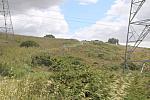 IMG 3439