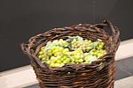 IMG 3451
