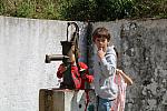 IMG 3484