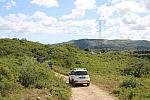 IMG 3498