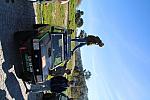IMG 4070