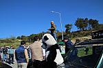 IMG 4074