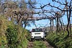 IMG 4078