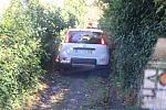 IMG 4082