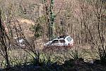 IMG 4092