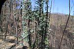 IMG 4093