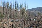 IMG 4098
