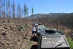 IMG 4099