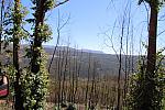 IMG 4103