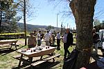 IMG 4107