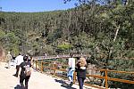 IMG 4111