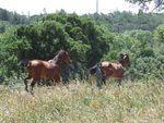 DSCF1457
