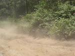 IMG_2522 (Large).JPG