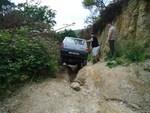 DSC03420 (Pinheiro)