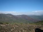 IMG_7203.JPG