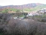 IMG_7208.JPG