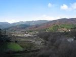 IMG_7209.JPG
