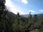 IMG_7217.JPG