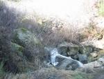 IMG_7224.JPG