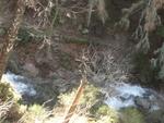 IMG_7229.JPG