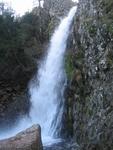 IMG_7241.JPG