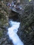 IMG_7245.JPG
