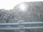 IMG_7248.JPG