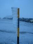 IMG_7283.JPG