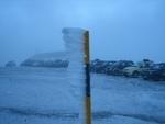 IMG_7284.JPG