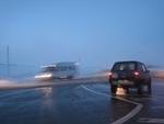 IMG_7293.JPG