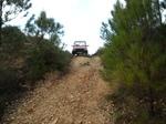 Country6