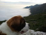 2011-01-02 16.35.59.jpg