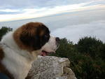 2011-01-02 16.37.21.jpg