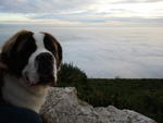 2011-01-02 16.37.25.jpg