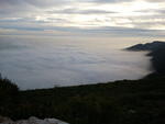 2011-01-02 16.37.37.jpg