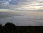 2011-01-02 16.37.44.jpg