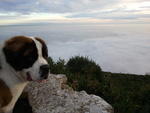 2011-01-02 16.38.48.jpg