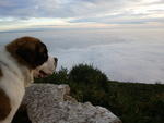 2011-01-02 16.38.51.jpg