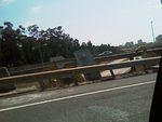IMAG0088.jpg