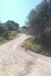 IMAG0156