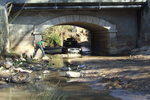 20071124magustopandacluxh4.jpg