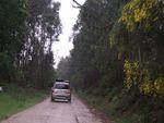DSCF2809.JPG