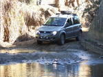 DSCF4775.jpg