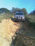 IMAG0221.jpg