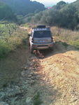 IMAG0223.jpg
