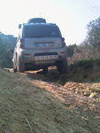 IMAG0224.jpg
