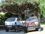 DSCF1832