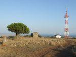 DSCF0688.JPG